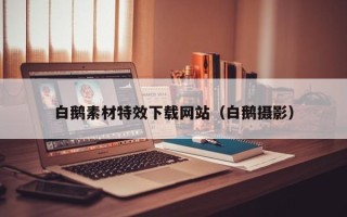 襄阳白鹅素材特效下载网站（白鹅摄影）